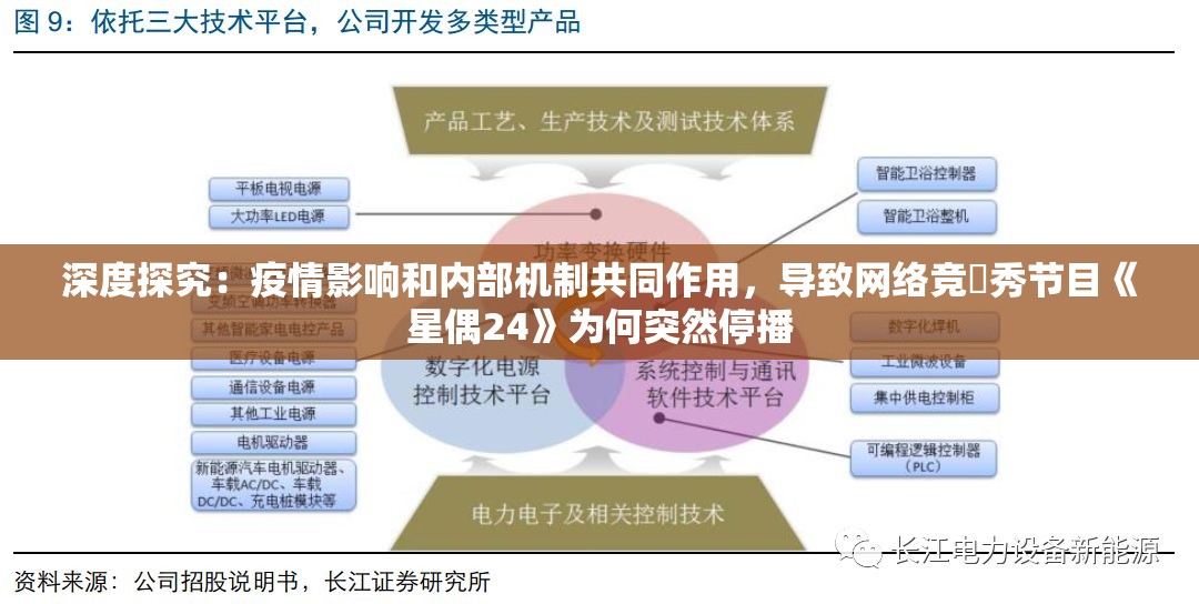深度探究：疫情影响和内部机制共同作用，导致网络竞秱秀节目《星偶24》为何突然停播