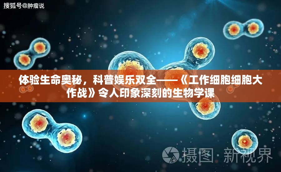 体验生命奥秘，科普娱乐双全——《工作细胞细胞大作战》令人印象深刻的生物学课