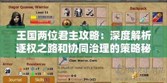 王国两位君主攻略：深度解析逐权之路和协同治理的策略秘籍