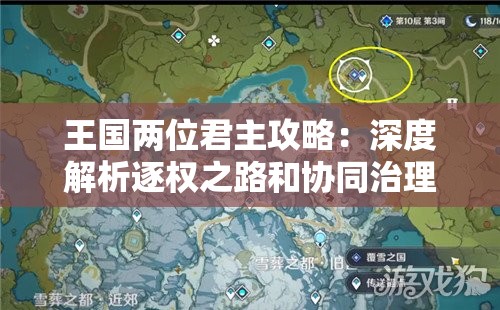 王国两位君主攻略：深度解析逐权之路和协同治理的策略秘籍
