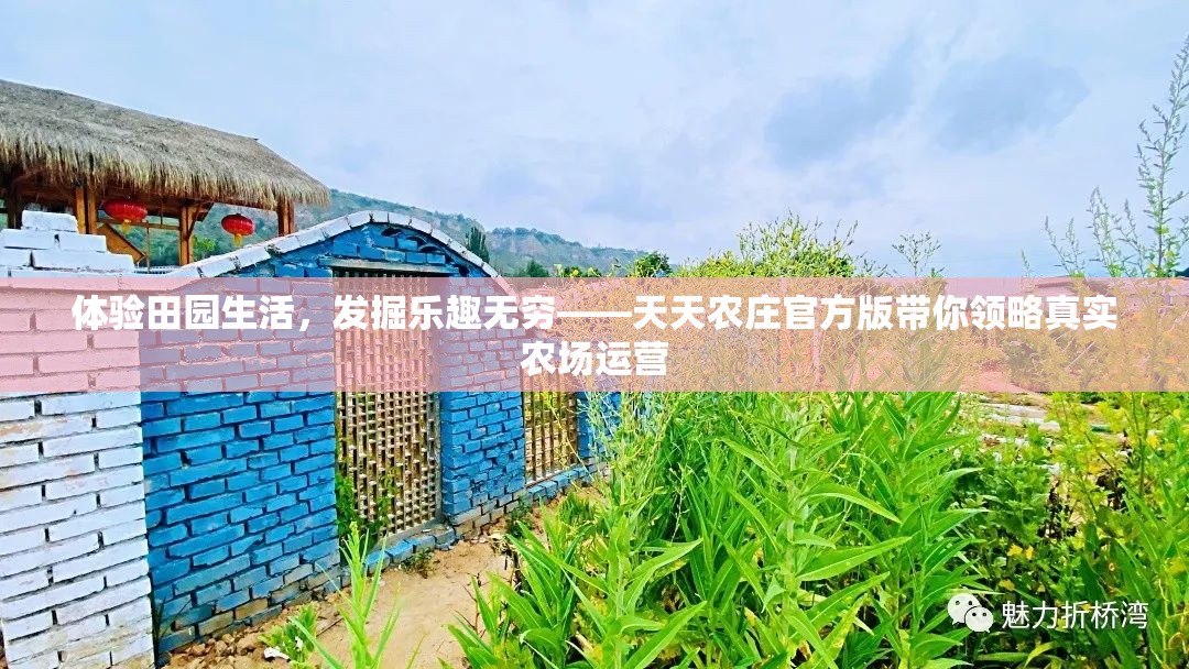 体验田园生活，发掘乐趣无穷——天天农庄官方版带你领略真实农场运营