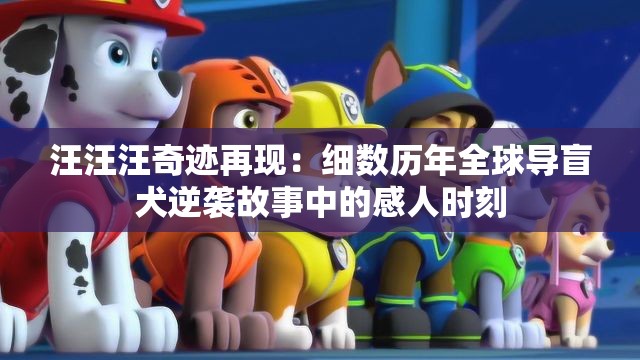 汪汪汪奇迹再现：细数历年全球导盲犬逆袭故事中的感人时刻