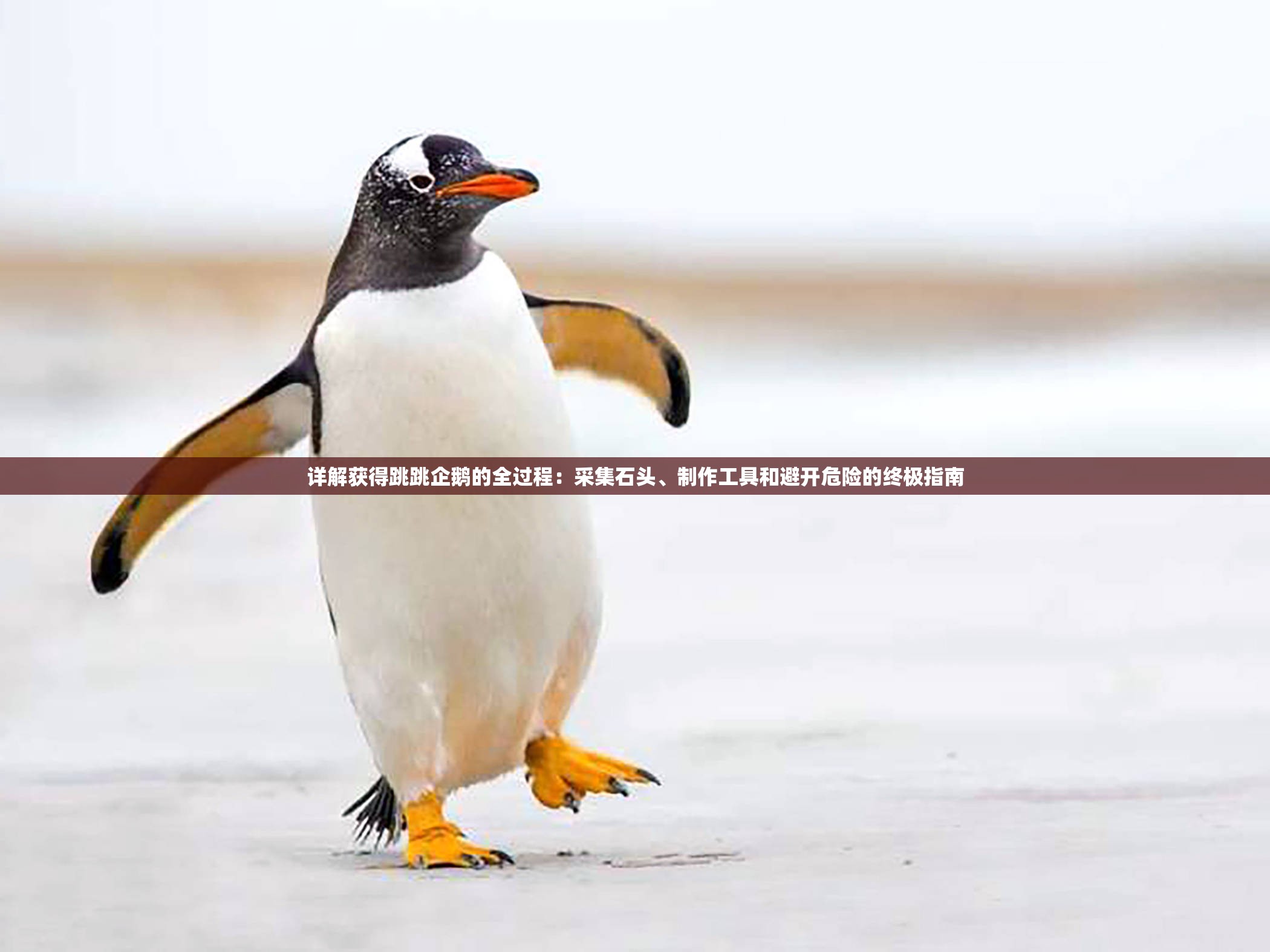详解获得跳跳企鹅的全过程：采集石头、制作工具和避开危险的终极指南