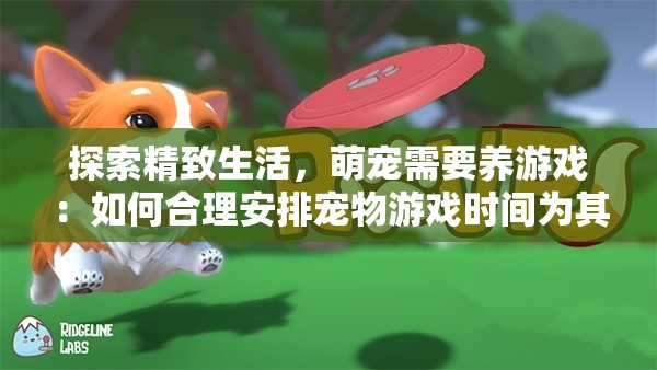 探索精致生活，萌宠需要养游戏：如何合理安排宠物游戏时间为其创造全方位健康环境