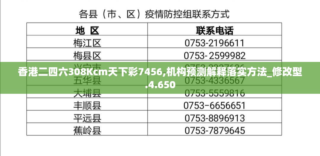 香港二四六308Kcm天下彩7456,机构预测解释落实方法_修改型.4.650