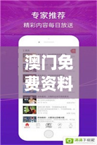澳门免费资料大全精准版火凤凰,解析当前问题的最新解答_H版.3.487