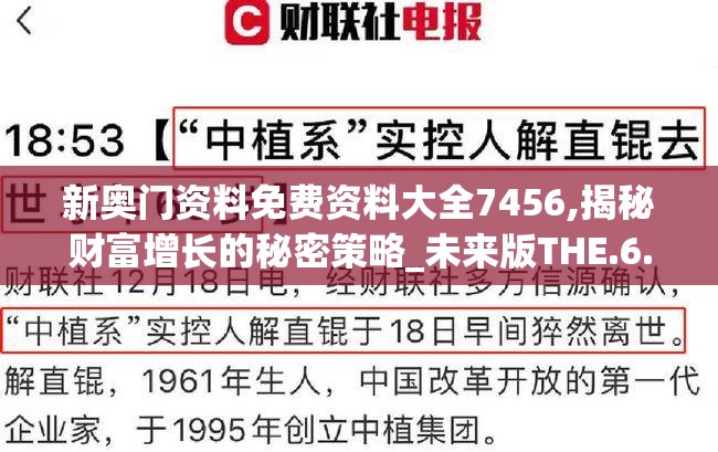 新奥门资料免费资料大全7456,揭秘财富增长的秘密策略_未来版THE.6.593