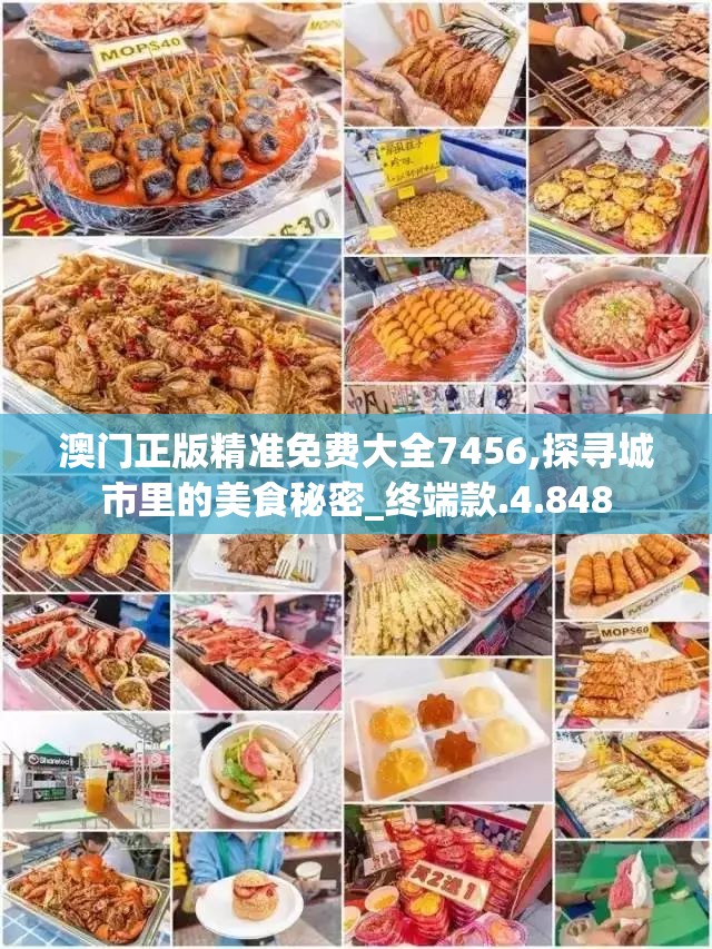 澳门正版精准免费大全7456,探寻城市里的美食秘密_终端款.4.848