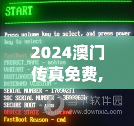 2024澳门传真免费,准确资料解释落实_修订集.5.555