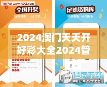2024澳门天天开好彩大全2024管家婆,探讨决策过程中资料的重要性_修改款.3.785