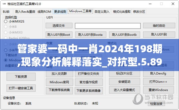 管家婆一码中一肖2024年198期,现象分析解释落实_对抗型.5.896