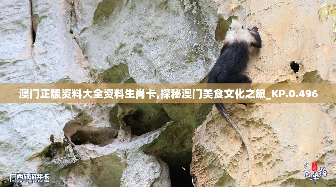 澳门正版资料大全资料生肖卡,探秘澳门美食文化之旅_KP.0.496