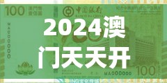 2024澳门天天开好彩免费7456,探索城市中的未知魅力_Adanced.9.503