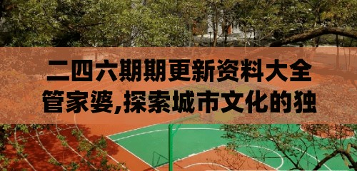 二四六期期更新资料大全管家婆,探索城市文化的独特魅力_过度集.8.660