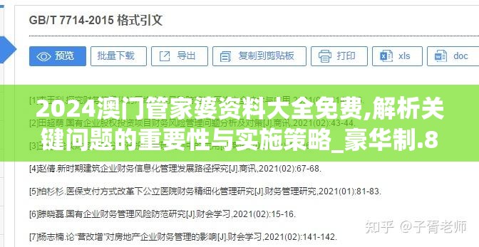 2024澳门管家婆资料大全免费,解析关键问题的重要性与实施策略_豪华制.8.799
