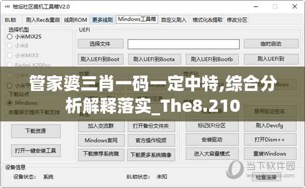 管家婆三肖一码一定中特,综合分析解释落实_The8.210