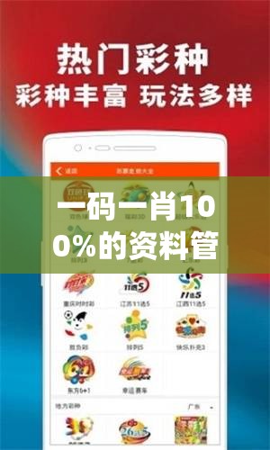一码一肖100%的资料管家婆,高效解答解释落实_旗舰版SIP.1.159
