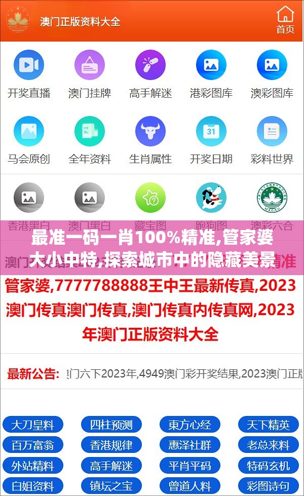 最准一码一肖100%精准,管家婆大小中特,探索城市中的隐藏美景_ios5.533