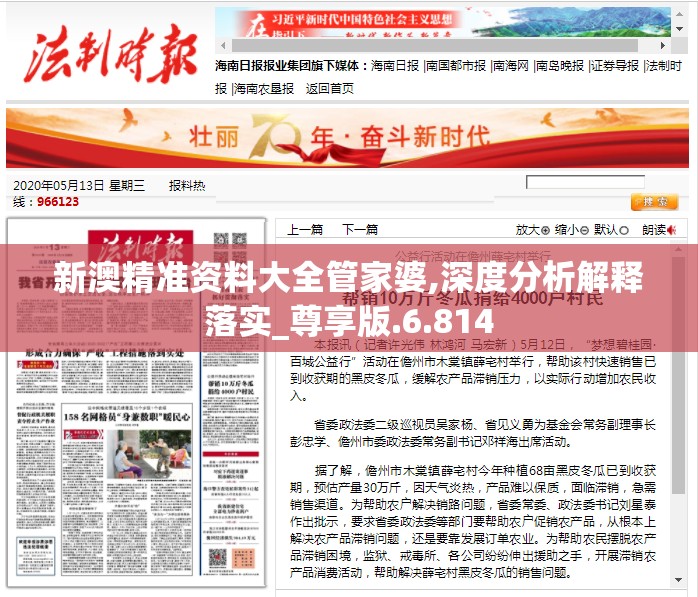 新澳精准资料大全管家婆,深度分析解释落实_尊享版.6.814