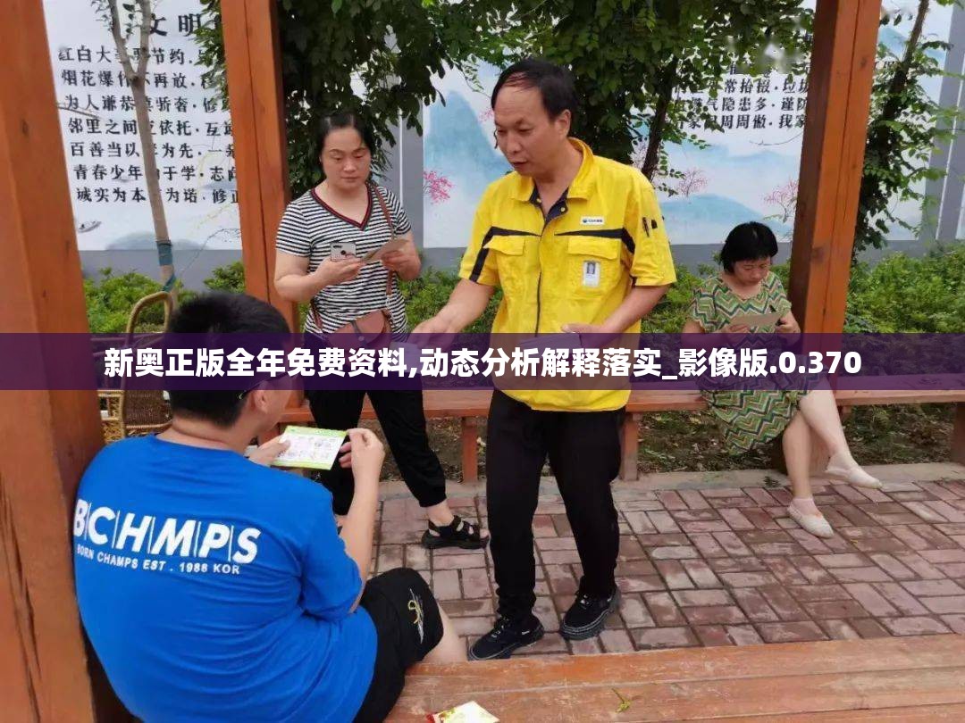 新奥正版全年免费资料,动态分析解释落实_影像版.0.370