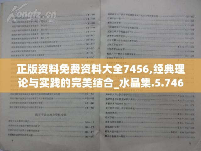 正版资料免费资料大全7456,经典理论与实践的完美结合_水晶集.5.746