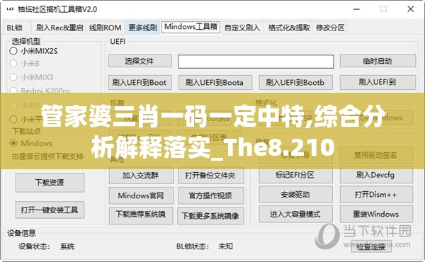 管家婆三肖一码一定中特,综合分析解释落实_The8.210