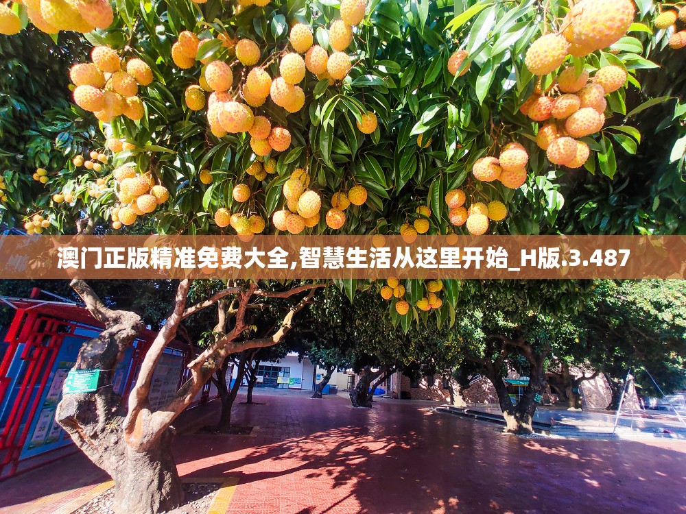 澳门正版精准免费大全,智慧生活从这里开始_H版.3.487