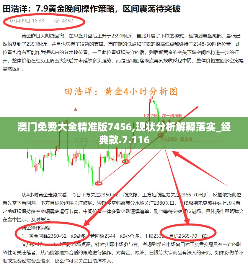 澳门免费大全精准版7456,现状分析解释落实_经典款.7.116