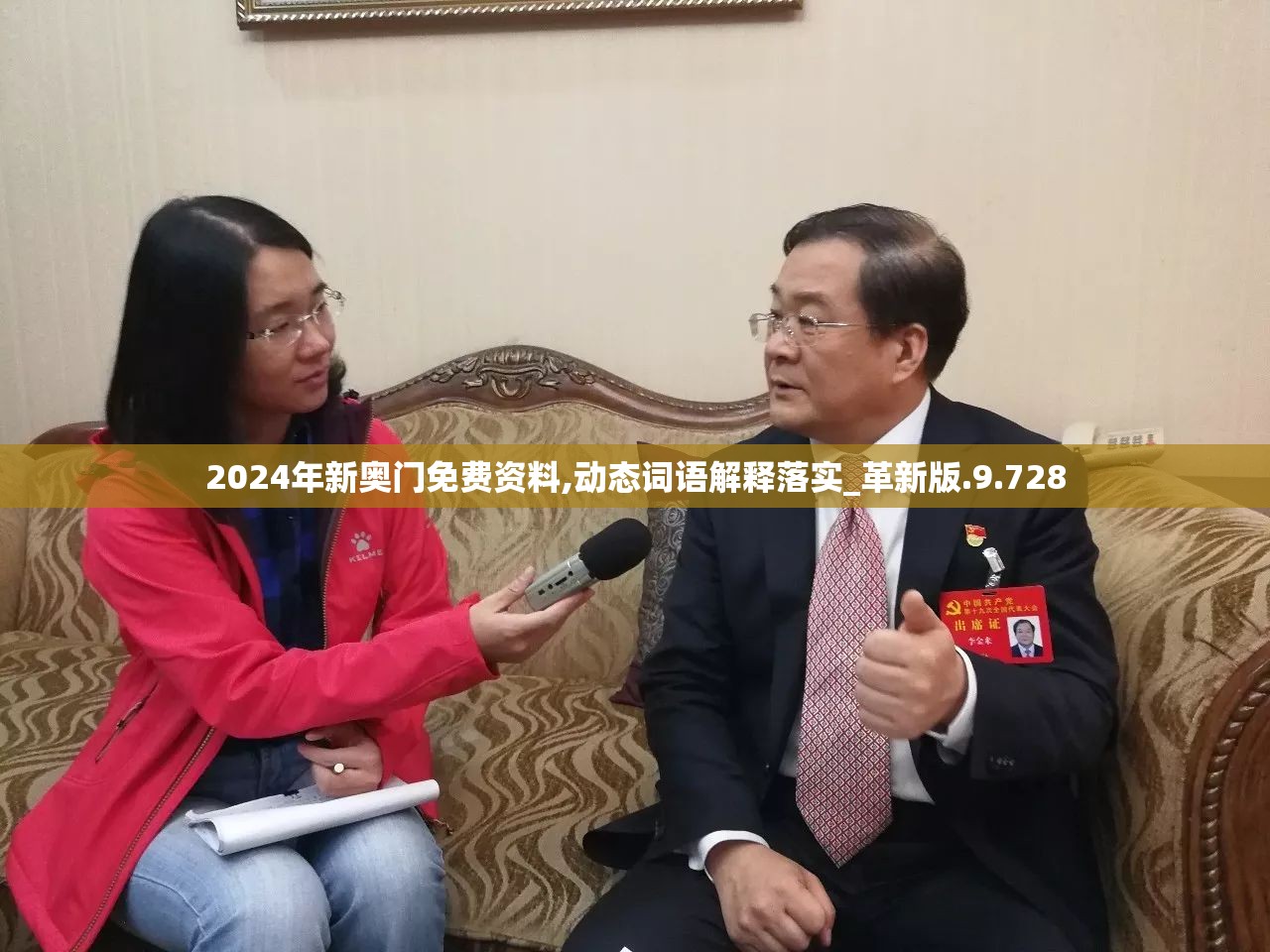 2024年新奥门免费资料,动态词语解释落实_革新版.9.728