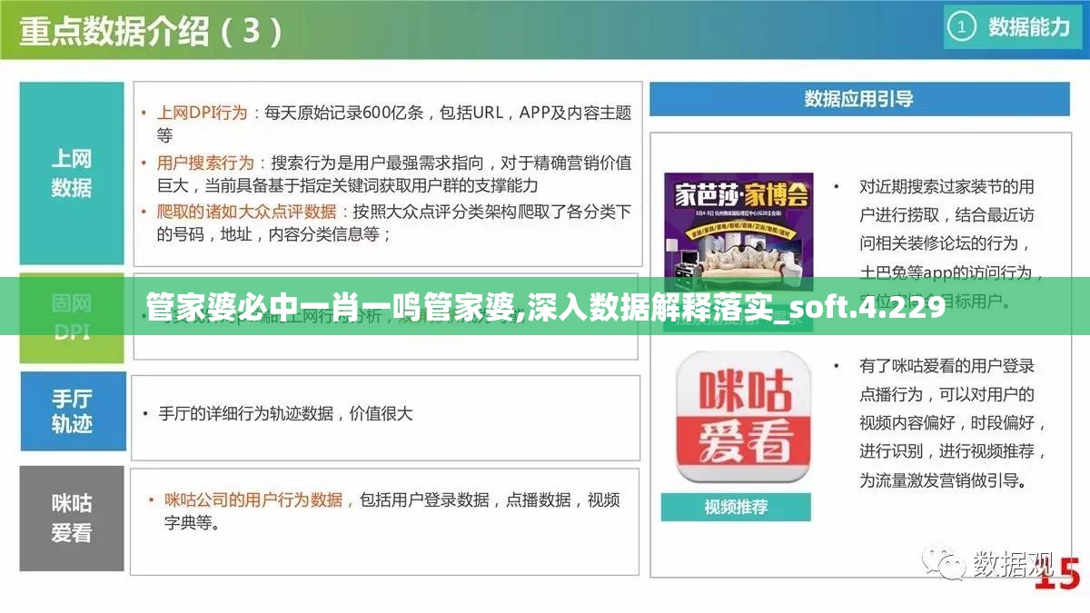管家婆必中一肖一鸣管家婆,深入数据解释落实_soft.4.229