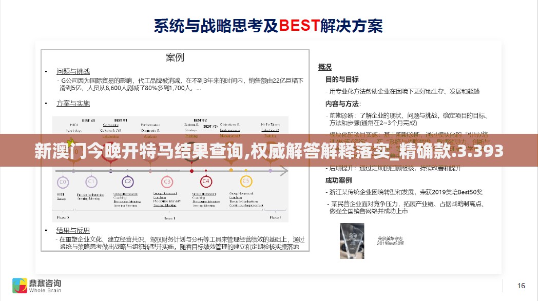 新澳门今晚开特马结果查询,权威解答解释落实_精确款.3.393