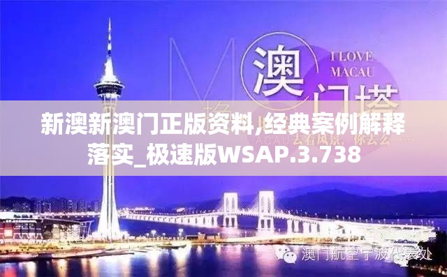 新澳新澳门正版资料,经典案例解释落实_极速版WSAP.3.738