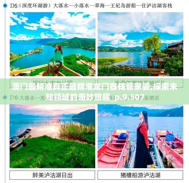 澳门最精准真正最精准龙门客栈管家婆,探索未知领域的奇妙旅程_p.9.507