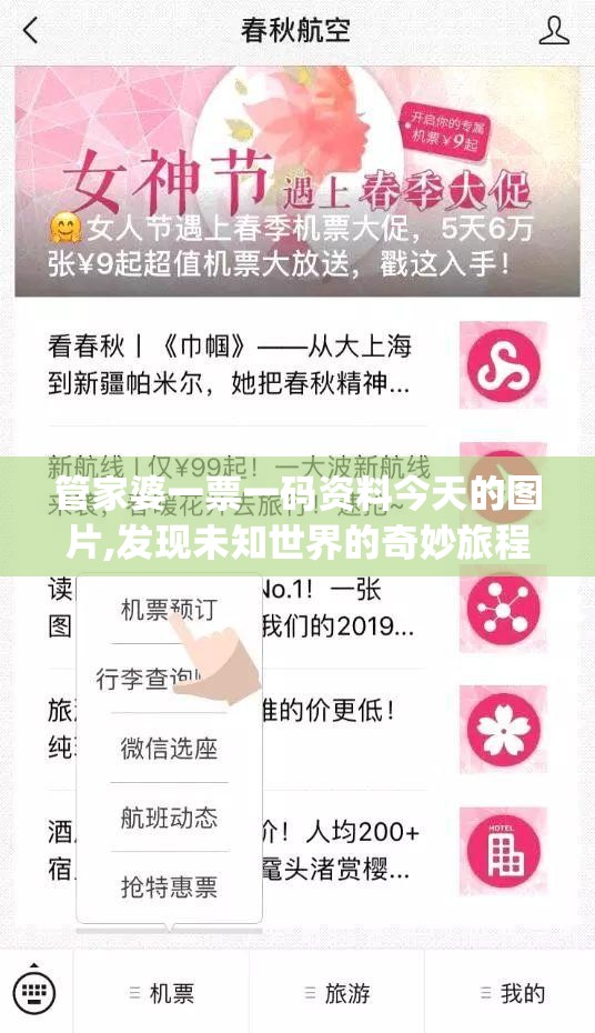 管家婆一票一码资料今天的图片,发现未知世界的奇妙旅程_精简版HD.8.203