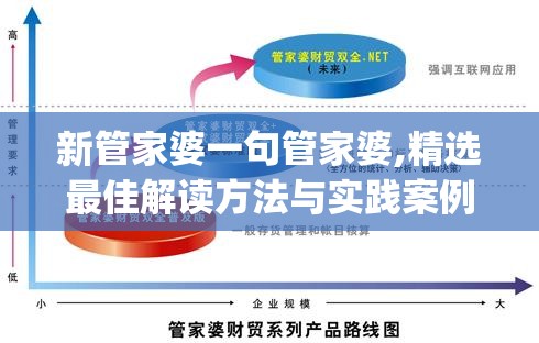 新管家婆一句管家婆,精选最佳解读方法与实践案例_任务型.8.87