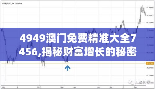 4949澳门免费精准大全7456,揭秘财富增长的秘密策略_特别品.3.124