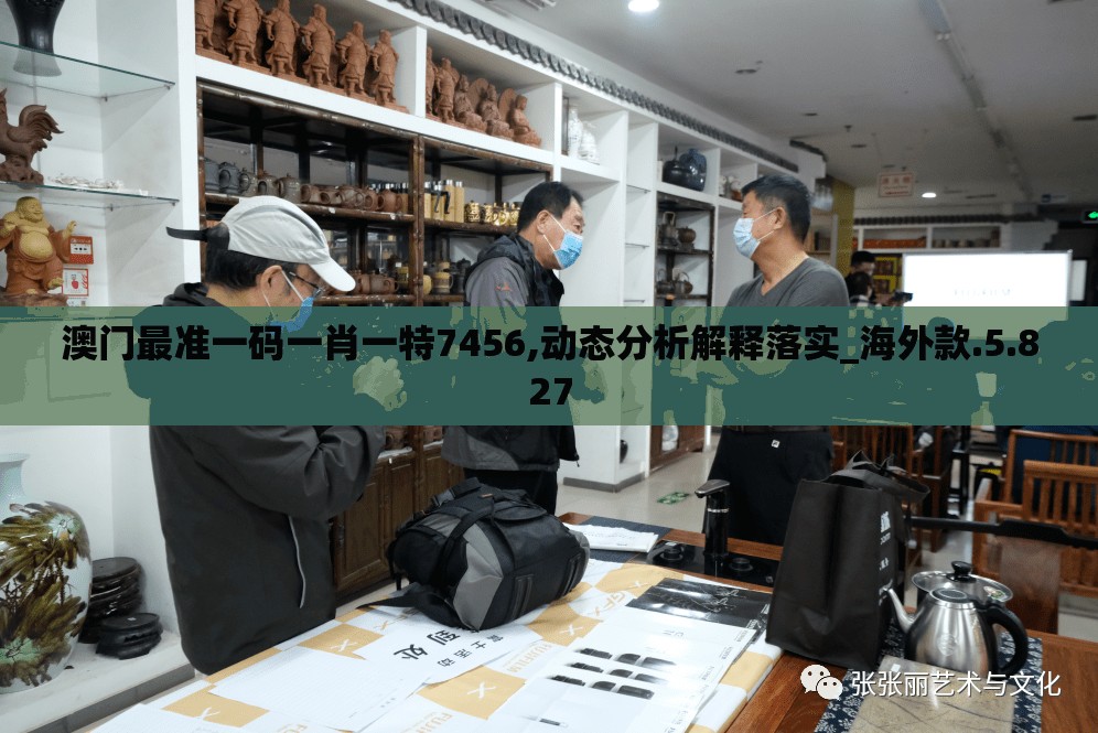 澳门最准一码一肖一特7456,动态分析解释落实_海外款.5.827