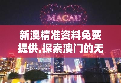 新澳精准资料免费提供,探索澳门的无限魅力与精彩活动_影像版.0.370