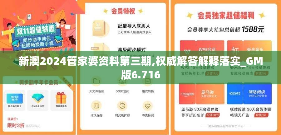 新澳2024管家婆资料第三期,权威解答解释落实_GM版6.716