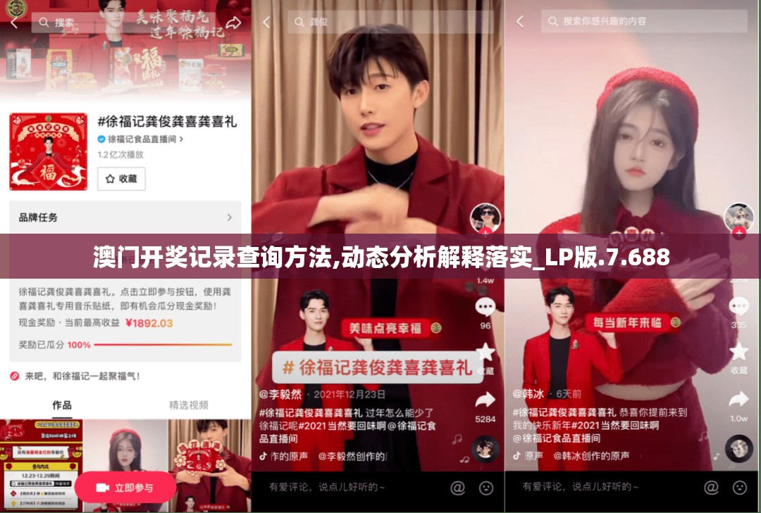 澳门开奖记录查询方法,动态分析解释落实_LP版.7.688
