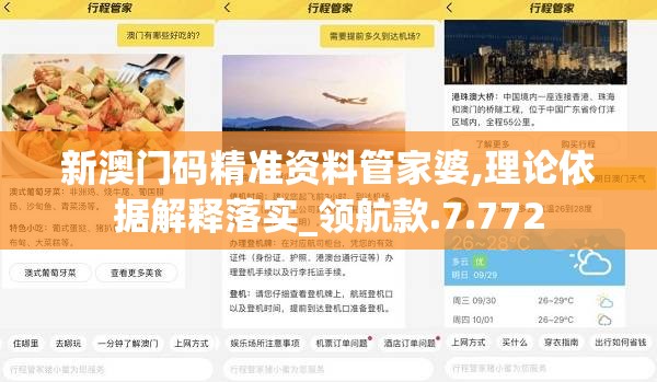 新澳门码精准资料管家婆,理论依据解释落实_领航款.7.772