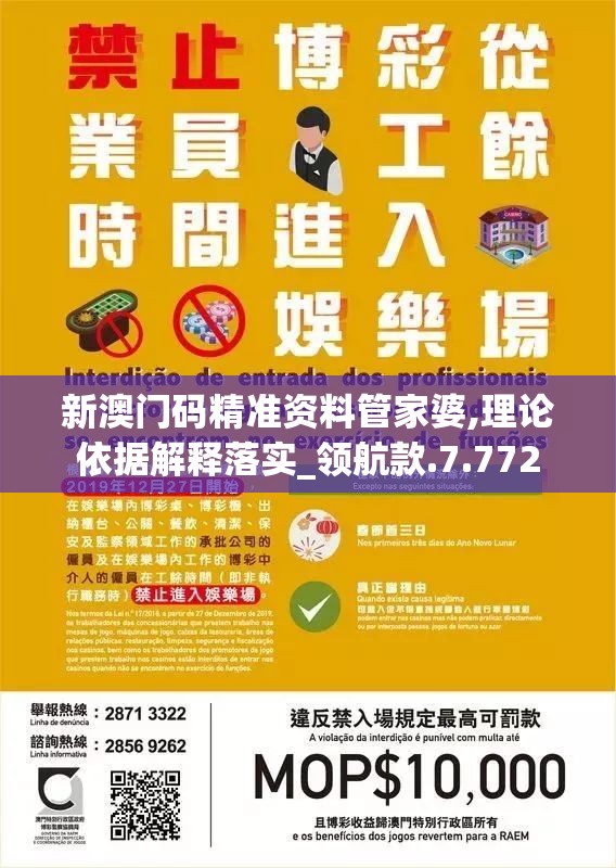 新澳门码精准资料管家婆,理论依据解释落实_领航款.7.772