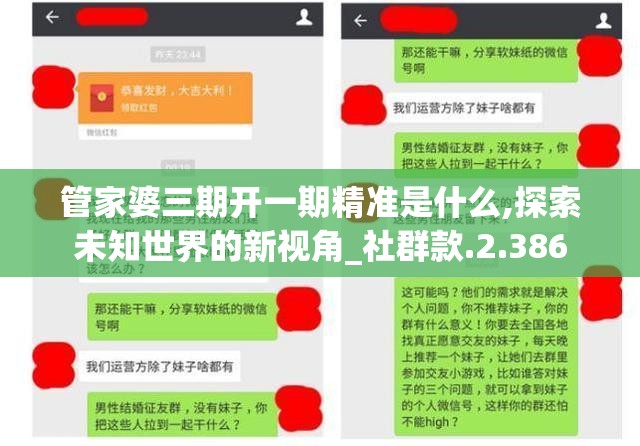 管家婆三期开一期精准是什么,探索未知世界的新视角_社群款.2.386