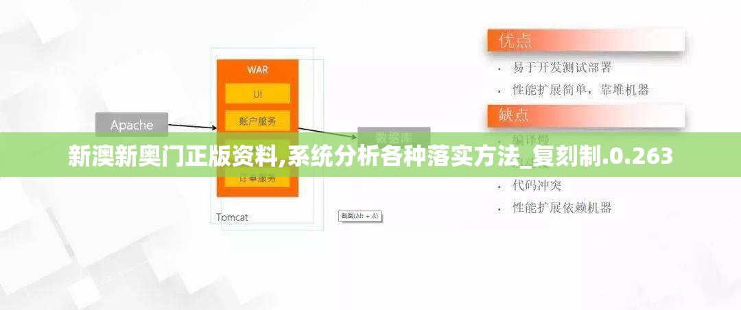 新澳新奥门正版资料,系统分析各种落实方法_复刻制.0.263