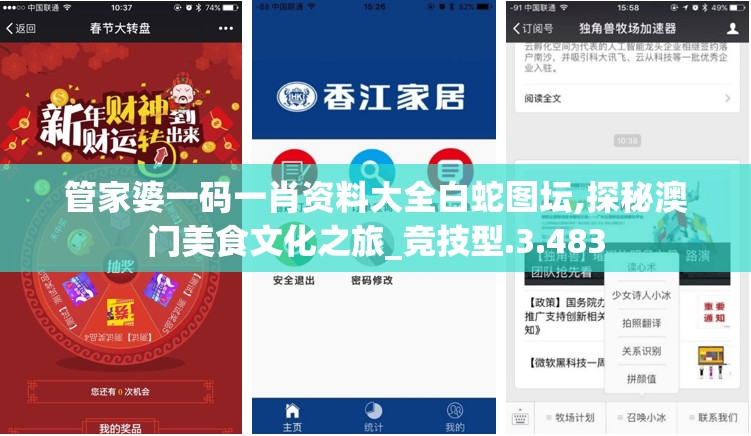 管家婆一码一肖资料大全白蛇图坛,探秘澳门美食文化之旅_竞技型.3.483