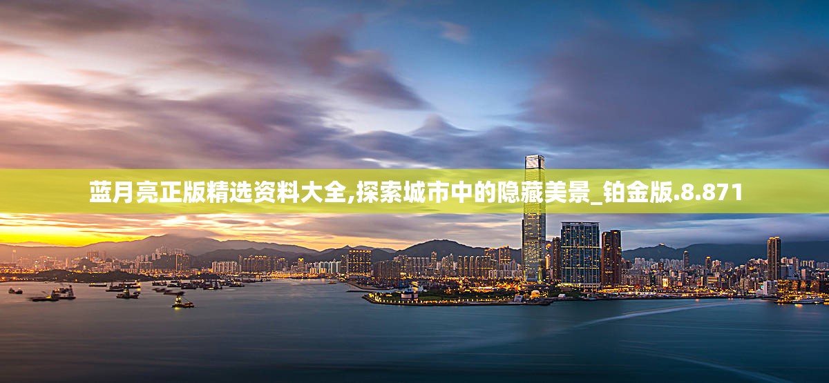 蓝月亮正版精选资料大全,探索城市中的隐藏美景_铂金版.8.871
