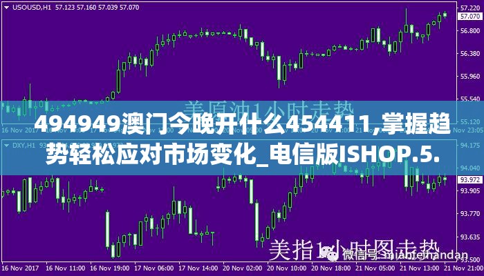 494949澳门今晚开什么454411,掌握趋势轻松应对市场变化_电信版ISHOP.5.213