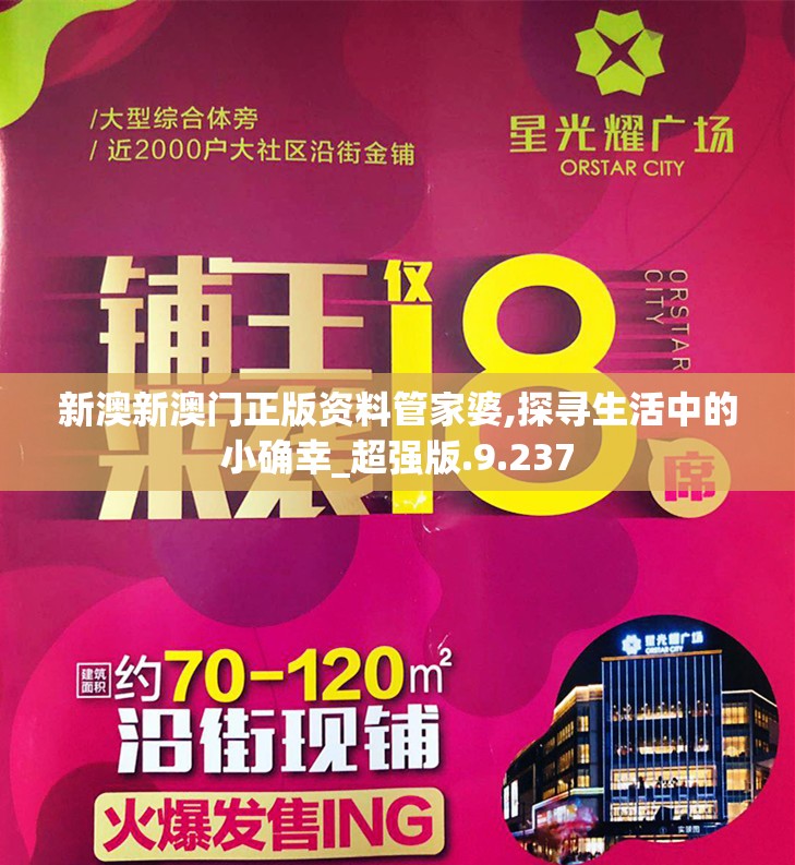 新澳新澳门正版资料管家婆,探寻生活中的小确幸_超强版.9.237