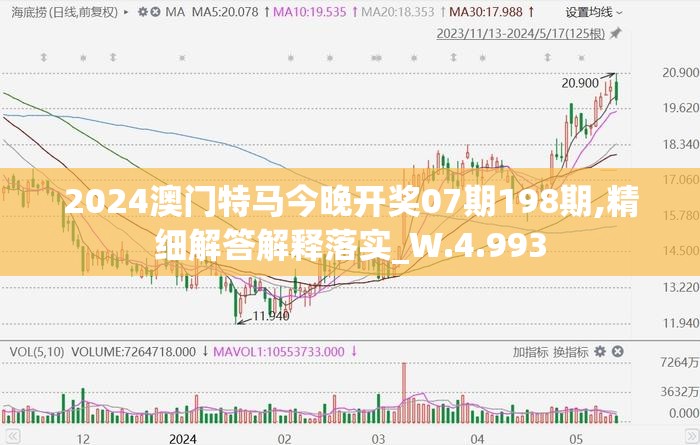 2024澳门特马今晚开奖07期198期,精细解答解释落实_W.4.993