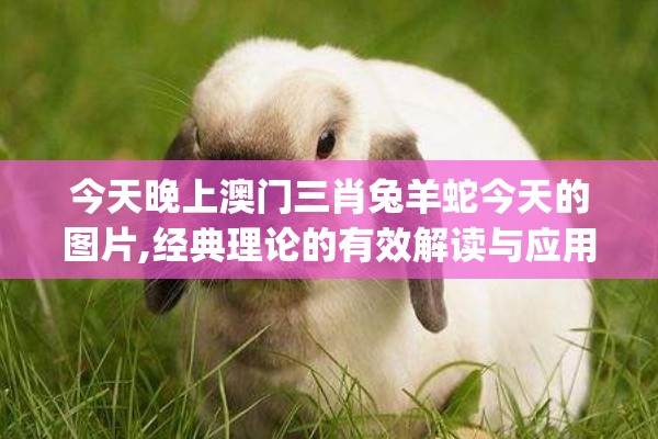今天晚上澳门三肖兔羊蛇今天的图片,经典理论的有效解读与应用_复刻制.6.60